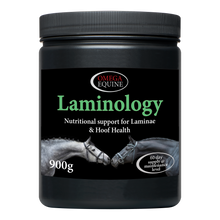 Load image into Gallery viewer, Omega Laminology