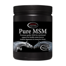 Load image into Gallery viewer, Omega MSM