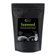 Load image into Gallery viewer, Omega Seaweed
