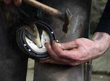 Load image into Gallery viewer, Omega Hoof Form