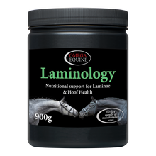 Load image into Gallery viewer, Omega Laminology
