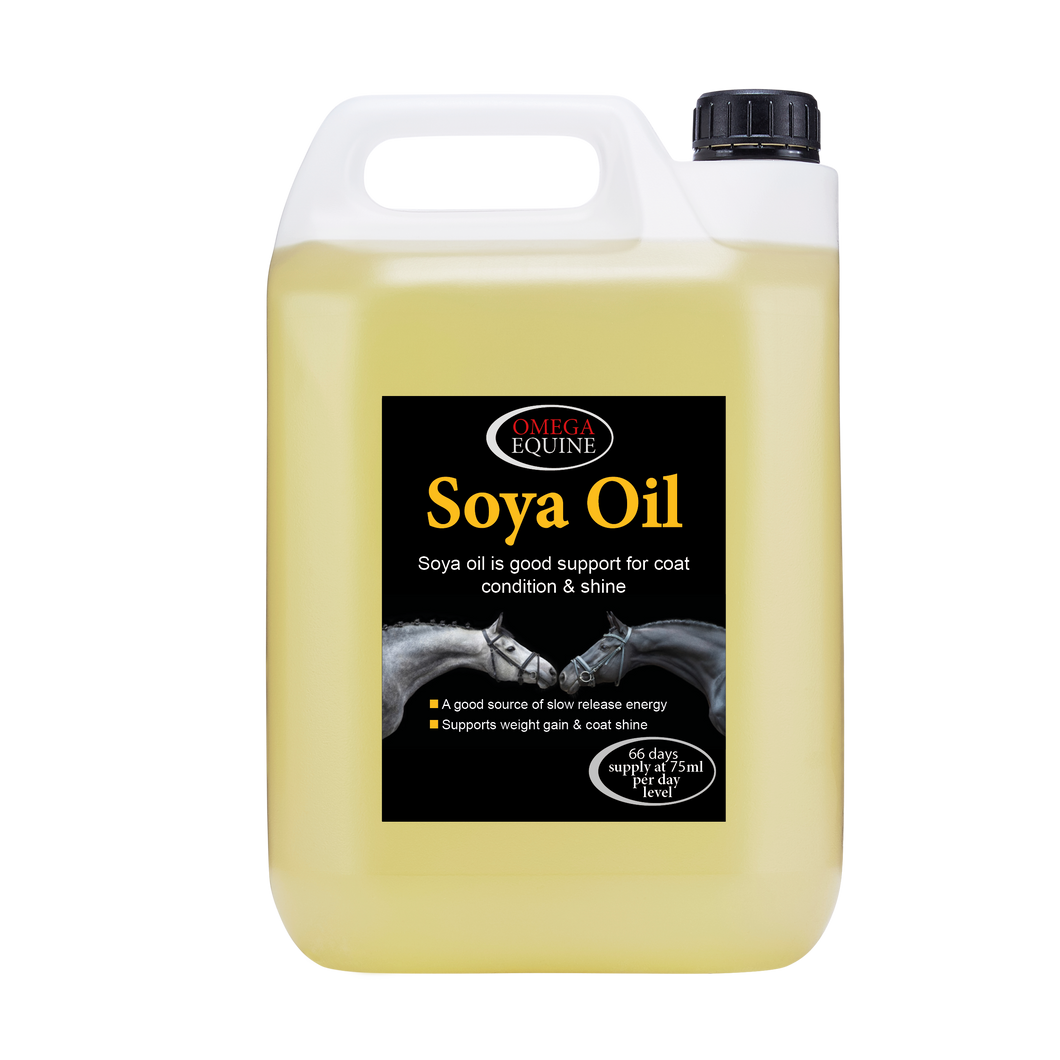Omega Soya Oil
